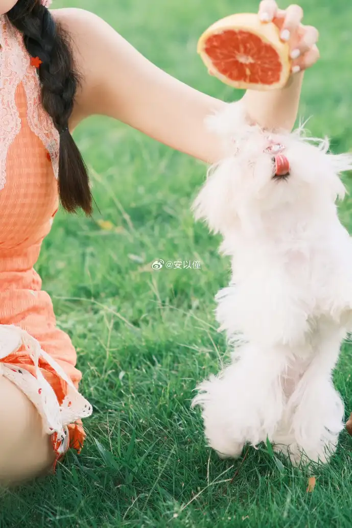 斗罗大陆手游战斗画面